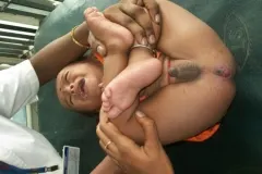 Raju