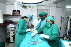yerras-hospital-new-photos_page-0016