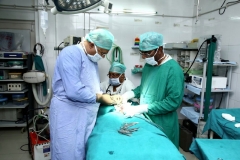 yerras-hospital-new-photos_page-0017